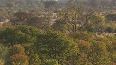 Delta de l'Okavango