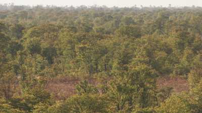 Delta de l'Okavango