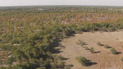 Delta de l'Okavango