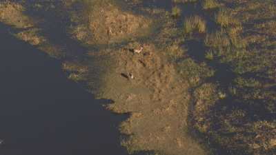 Delta de l'Okavango