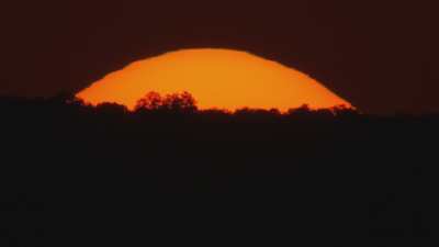 Coucher de soleil dans le delta de l'Okavango