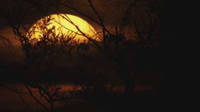 Coucher de soleil dans le delta de l'Okavango