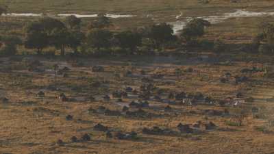 Delta de l'Okavango