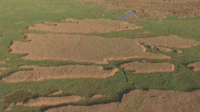 Delta de l'Okavango