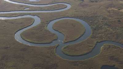 Delta de l'Okavango