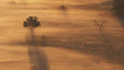 Lumière dans la brume du matin