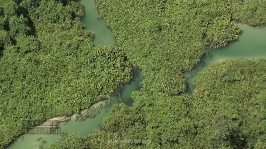 CONGO FLEUVE