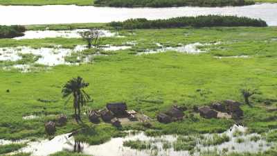 Huttes de bois sur pilotis sur des îles du fleuve Congo