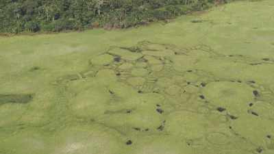 Vastes paysages au fil du fleuve Congo
