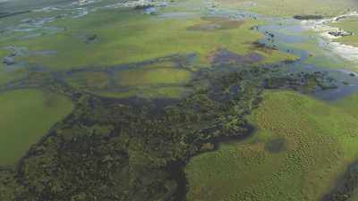 la rivière marécageuse Likouala aux herbes, affluent du Congo