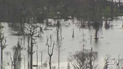 Le lac du barrage d'Imboulou d'où émergent les arbres