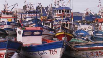 Bateaux de pêche