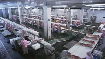 Usine porcine