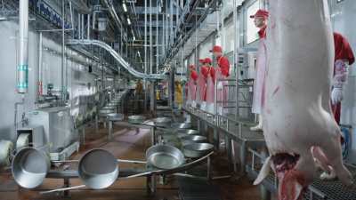 Usine porcine