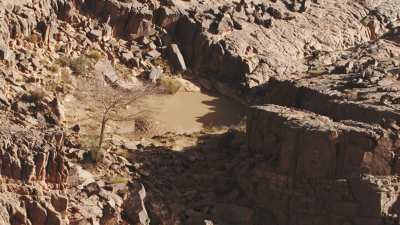 Oasis, falaises, dunes et roches