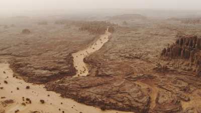Formes de ramifications dans le sable