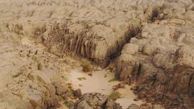 Canyons arbres et eau dans le creux