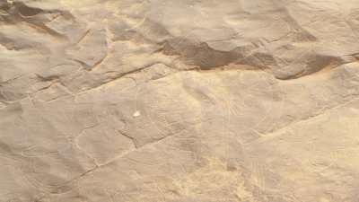 Gravures rupestres du Tassili