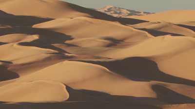 Les formes douces des dunes sahariennes et ombres