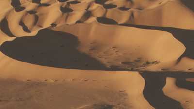 Les formes douces des dunes sahariennes