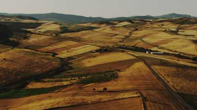 Campagne algérienne près de Guelma