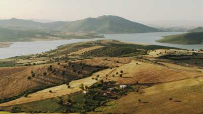 Campagne algérienne près de Guelma