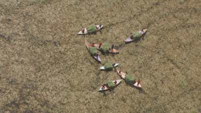 Ramasseurs d'herbe sur le lac Burullus