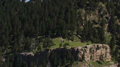 Troupeau de vaches sur la montagne