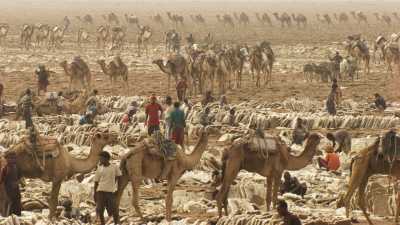 La pénible extraction du sel sur le lac Assal
