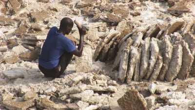 La pénible extraction du sel sur le lac Assal