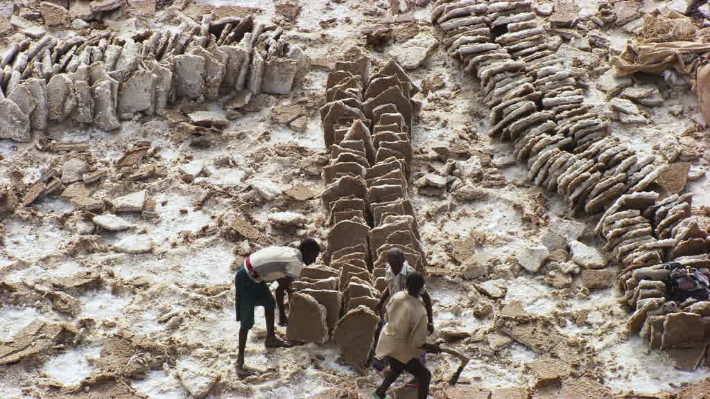 Caravane de dromadaires et exploitation traditionnelle du sel sur le lac Assal
