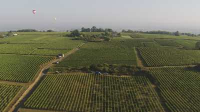 Les vignes, la Loire et ses îlots de sable