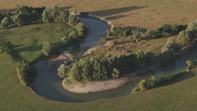 Troupeau de vache qui pâture au bord de l'eau dans la campagne française