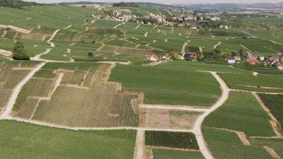 Vignes et villages de campagne