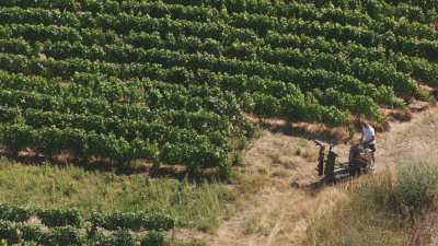 Vignes et villages de campagne