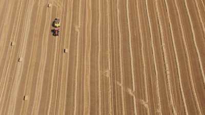 Bottelage des germes de blé, campagne française