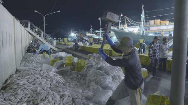Port de pêche sur la côte nord de Java