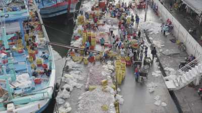 Déchargement de poisson sur la côte nord de Java