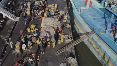 Déchargement de poisson sur la côte nord de Java