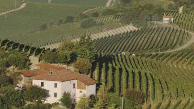 Vendanges en Ligurie