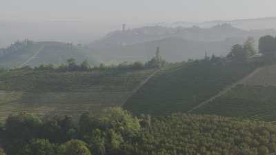 Vignes dans les brumes en Ligurie
