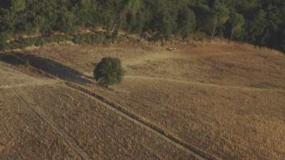 Campagne toscane, province de Pise