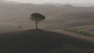 Campagne toscane