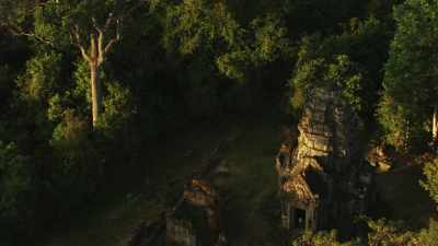 Temples en ruines dans la forêt dense