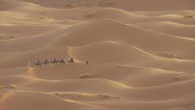 Caravane de touristes dans l'erg Chebbi (Merzouga)