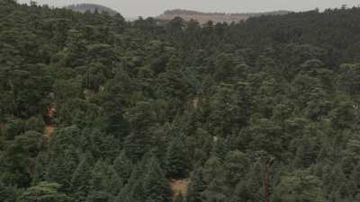 Région d'Ifrane
