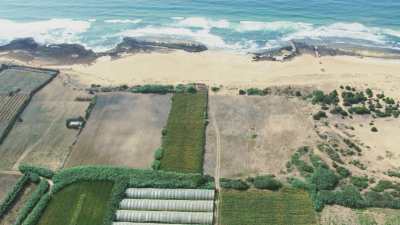 Exploitations agricoles en bord de mer, près de El Jadida