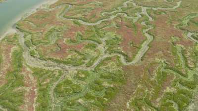 Affluents du fleuve Oum Errabiâ et marais salants, Oualidia