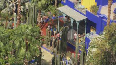Le jardin Majorelle