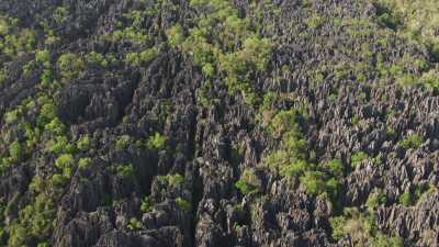 Le Parc National des  Tsingy de Bemaraha